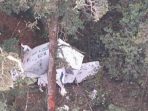 Pesawat Rimbun Air PK-OTW yang ditemukan disekitar bukit Bilogai, Distrik Sugapa, Intan Jaya.(Foto. Istimewa)
