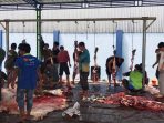 proses pemotongan hewan Qurban oleh seluruh pegawai PT. Air Minum Jayapura. proses pemotongan hewan Qurban oleh seluruh pegawai PT. Air Minum Jayapura.