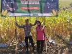 Kapolsek Sentani Kota didampingi isteri berphoto saat melakukan panen jagung dilahan binaan Polsek Sentani Kota Kapolsek Sentani Kota didampingi isteri berphoto saat melakukan panen jagung dilahan binaan Polsek Sentani Kota