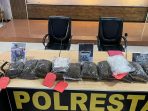 Barang bukti ganja seberat 8,3 Kg yang diamankan.(Foto. Humas Polresta Jayapura Kota)